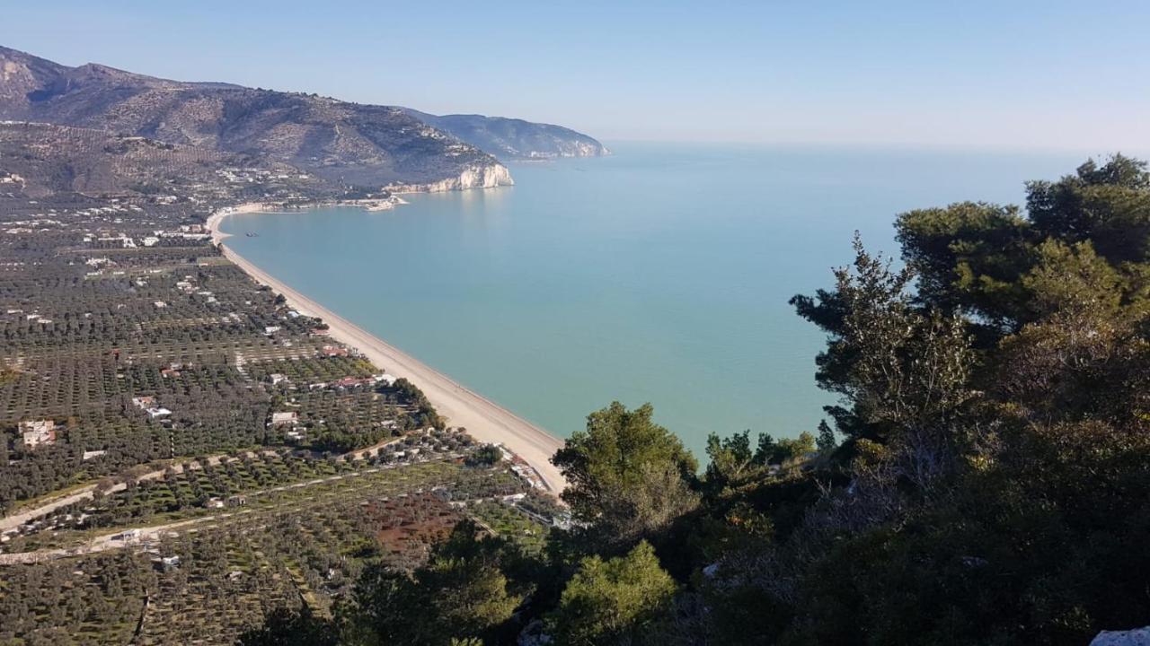 Tenuta Santa Maria Mattinata Exteriér fotografie