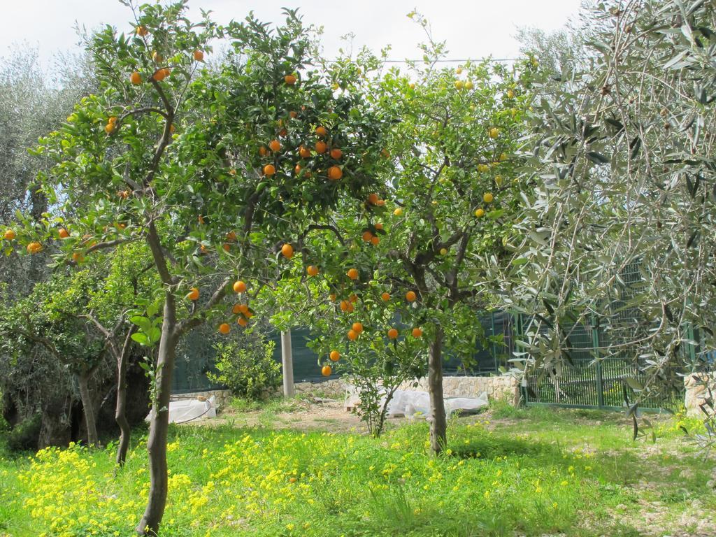 Tenuta Santa Maria Mattinata Pokoj fotografie