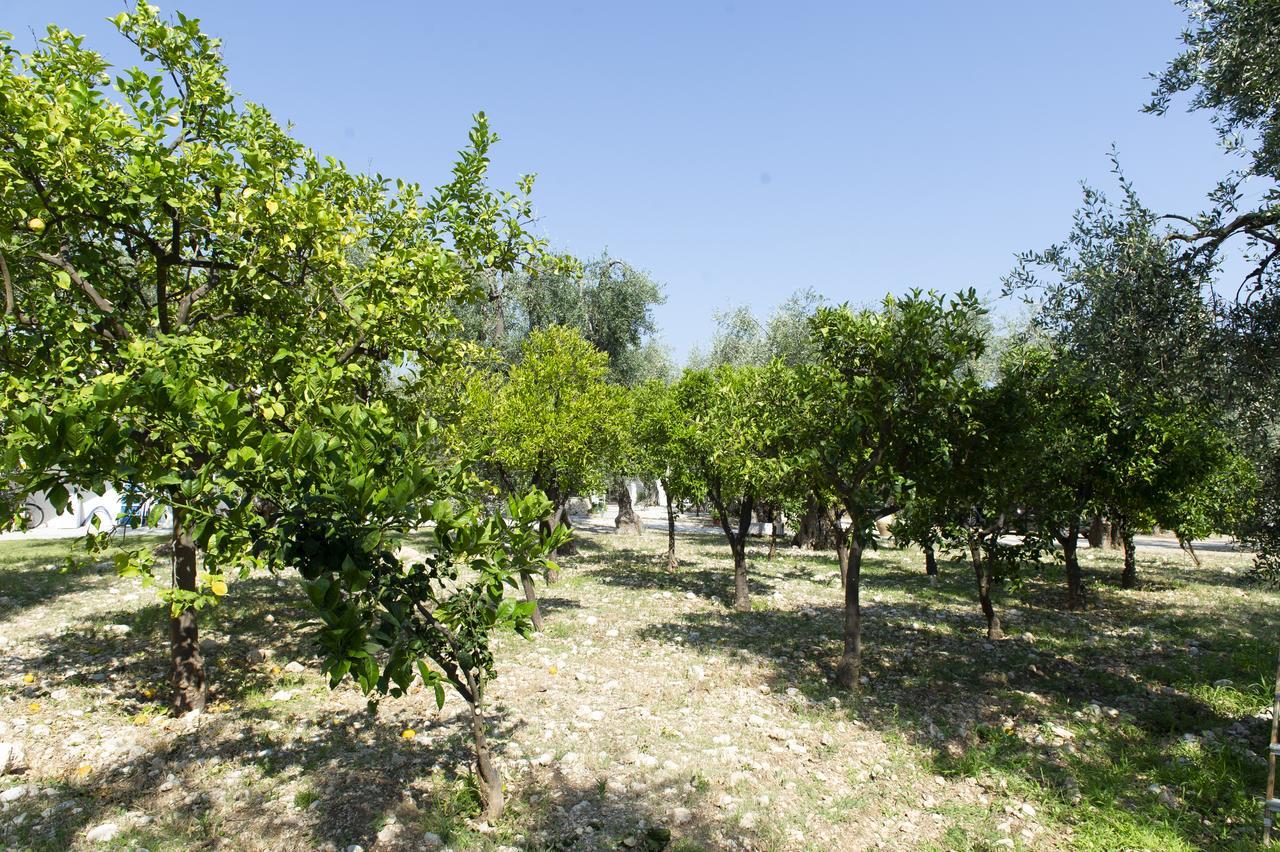 Tenuta Santa Maria Mattinata Exteriér fotografie